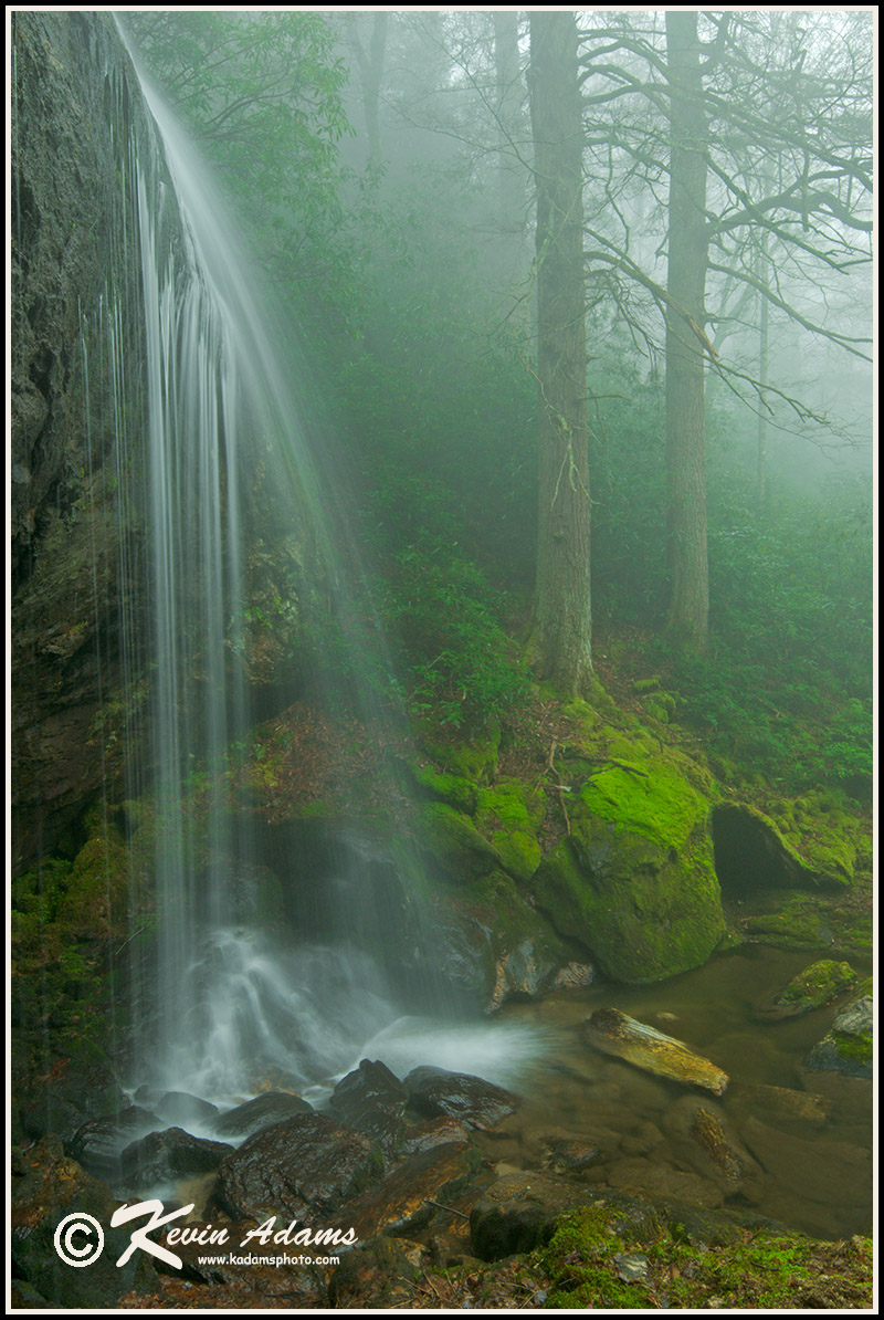Another view of Loretta Falls in Nantahala National Forest, also shot it the rain. Nikon D300, Nikon 12-24mm lens at 16mm, polarizing filter, f/16, 0.8 second, ISO 200.
